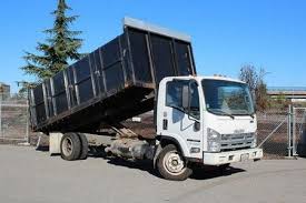 Best Recycling Services for Junk  in Skyline, AL